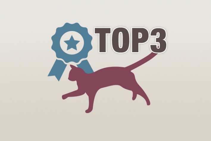 TOP 3 Katzenklappen